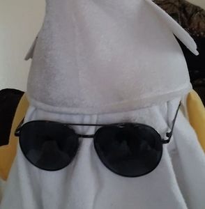 Meet your Posher, Mikey